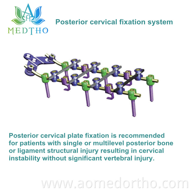spinal product